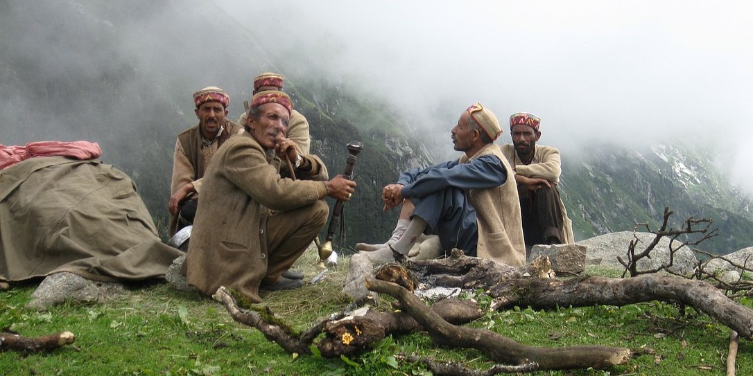 Gaddi Culture in Dharamshala